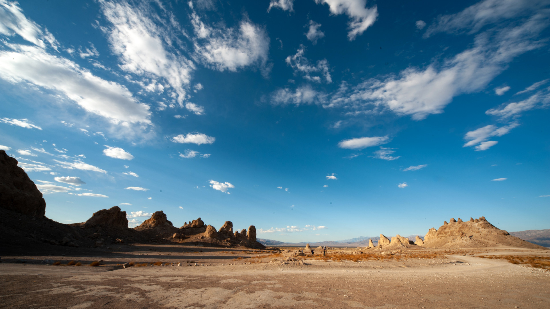 ccccccccccccccccccccccc