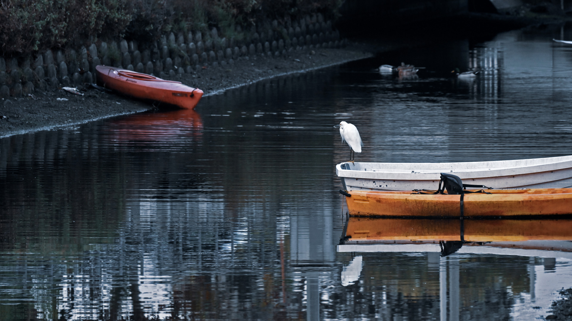 Venice Canal, Venice Beach, California