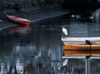 Venice Canal, Venice Beach, California